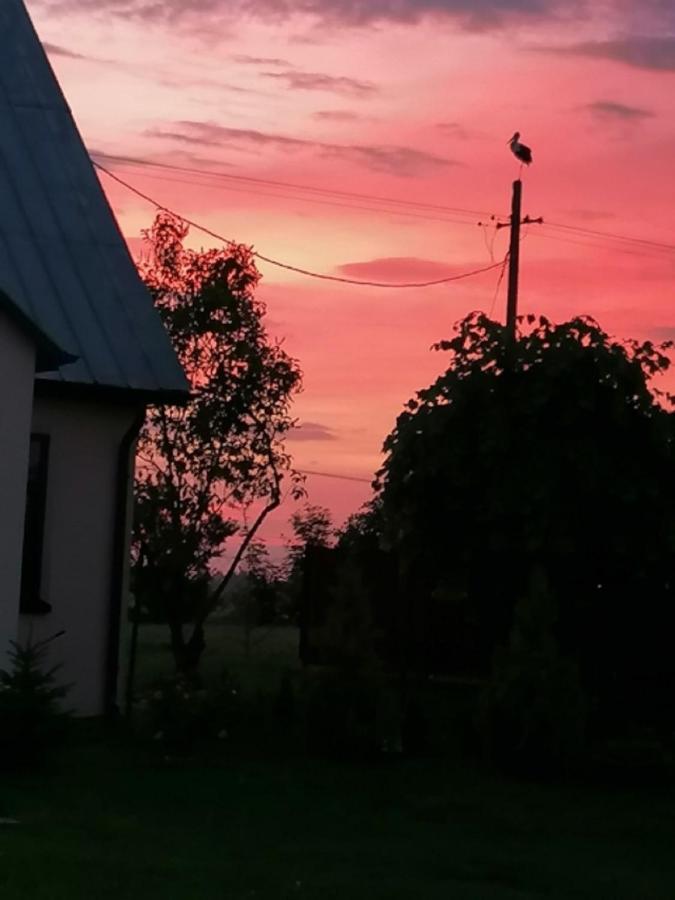 Dom I Pokoje Goscinne Zaruby Sejny Extérieur photo